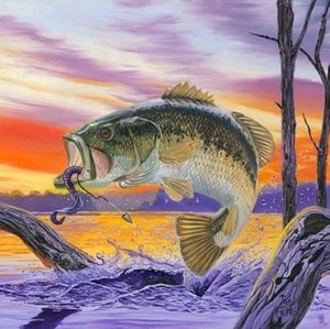 Meet your Posher, Ricky